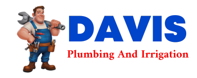 Trusted plumber in PHYLLIS